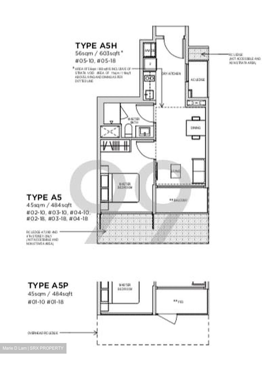 The Verandah Residences (D5), Apartment #425576961